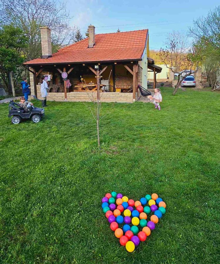 Besenovacki Prnjavor Fruska House 빌라 외부 사진