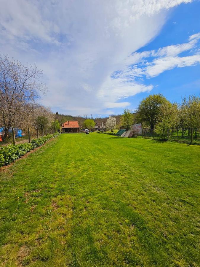 Besenovacki Prnjavor Fruska House 빌라 외부 사진