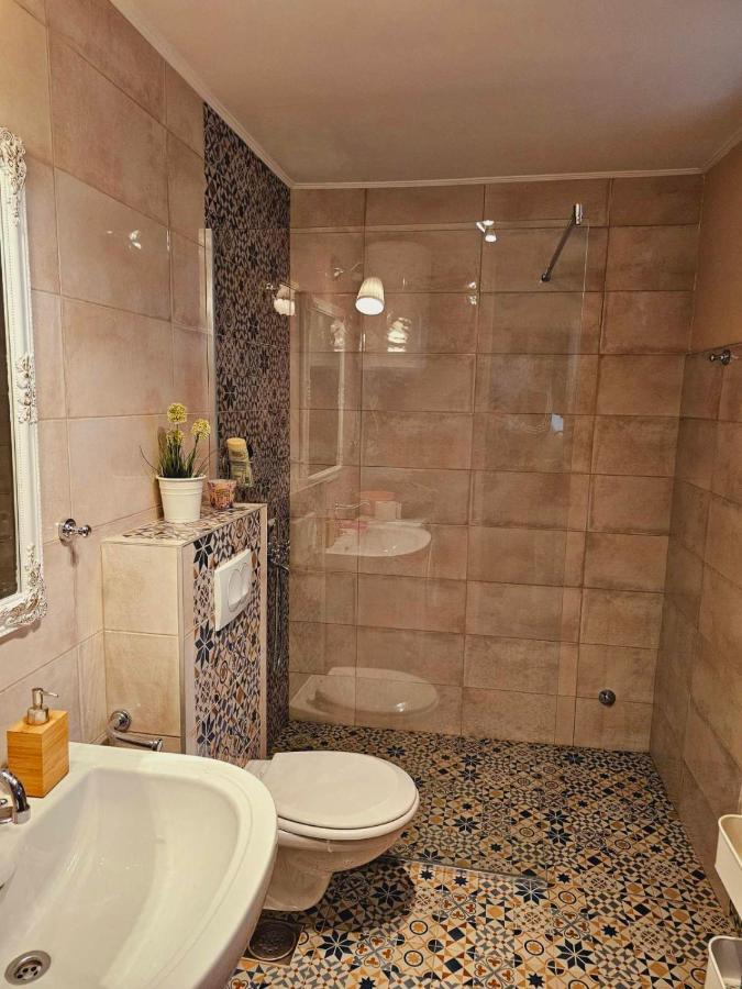 Besenovacki Prnjavor Fruska House 빌라 외부 사진